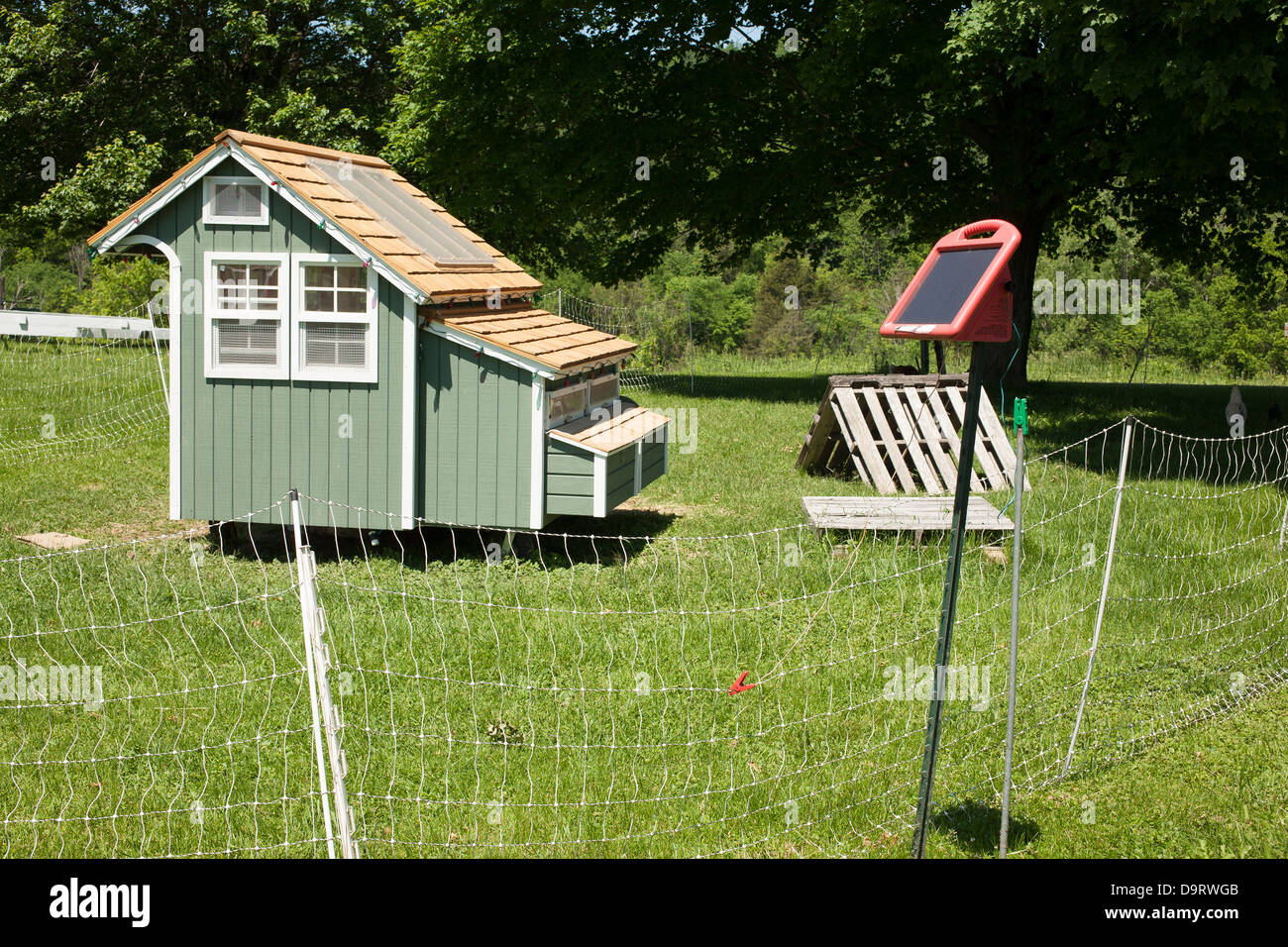 Movable And Stylish Chicken Coop Is Surrounded By A Solar Powered