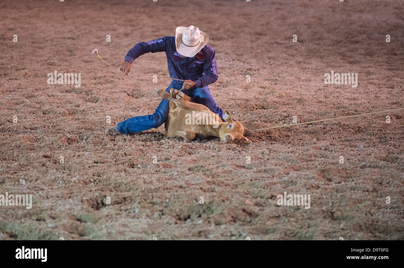 Cowboy Participant in a Calf roping Competition at the Helldorado Days Professional Rodeo in Las Vegas Stock Photo