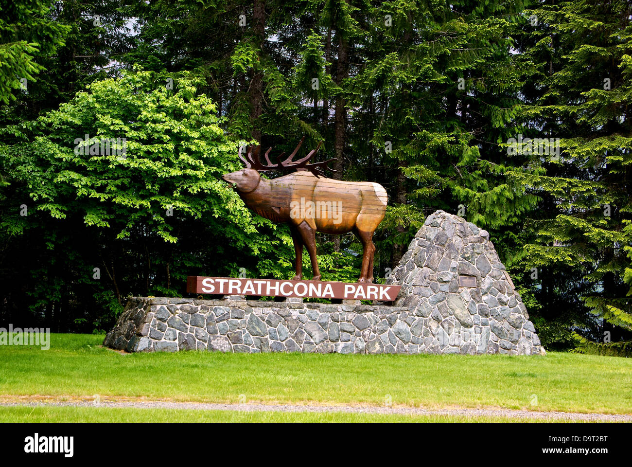 Wooden Roosevelt elk sculpture Strathcona Provincial Park sign Stock Photo