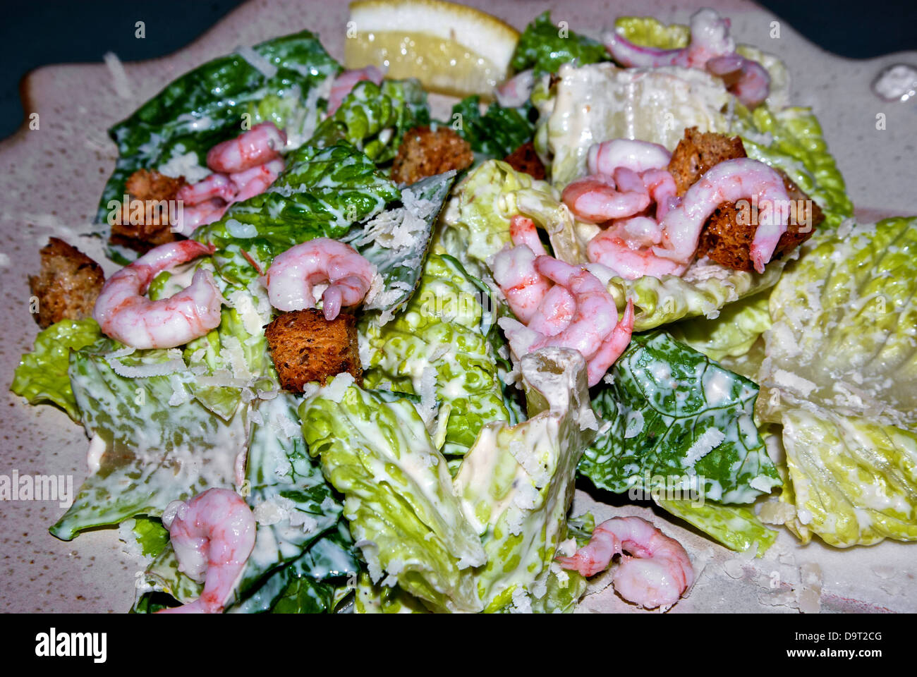 Baby shrimp Caesar salad romaine lettuce croutons shaved Parmesan cheese Stock Photo