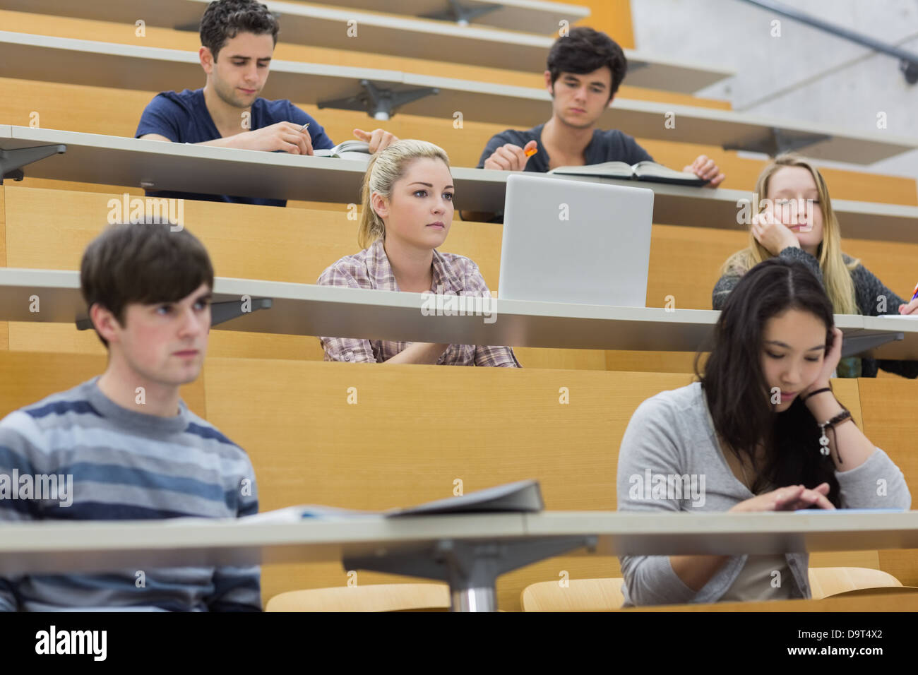 Class listening in a lecture hall Stock Photo
