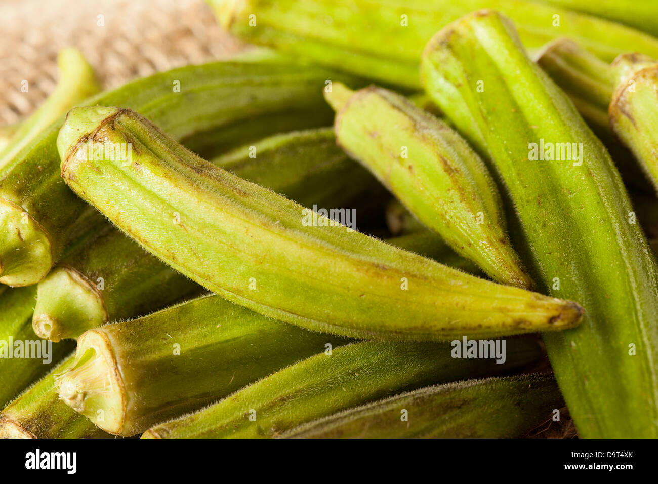 Organic Green Okra Vegetable against a Background Stock Photo Alamy