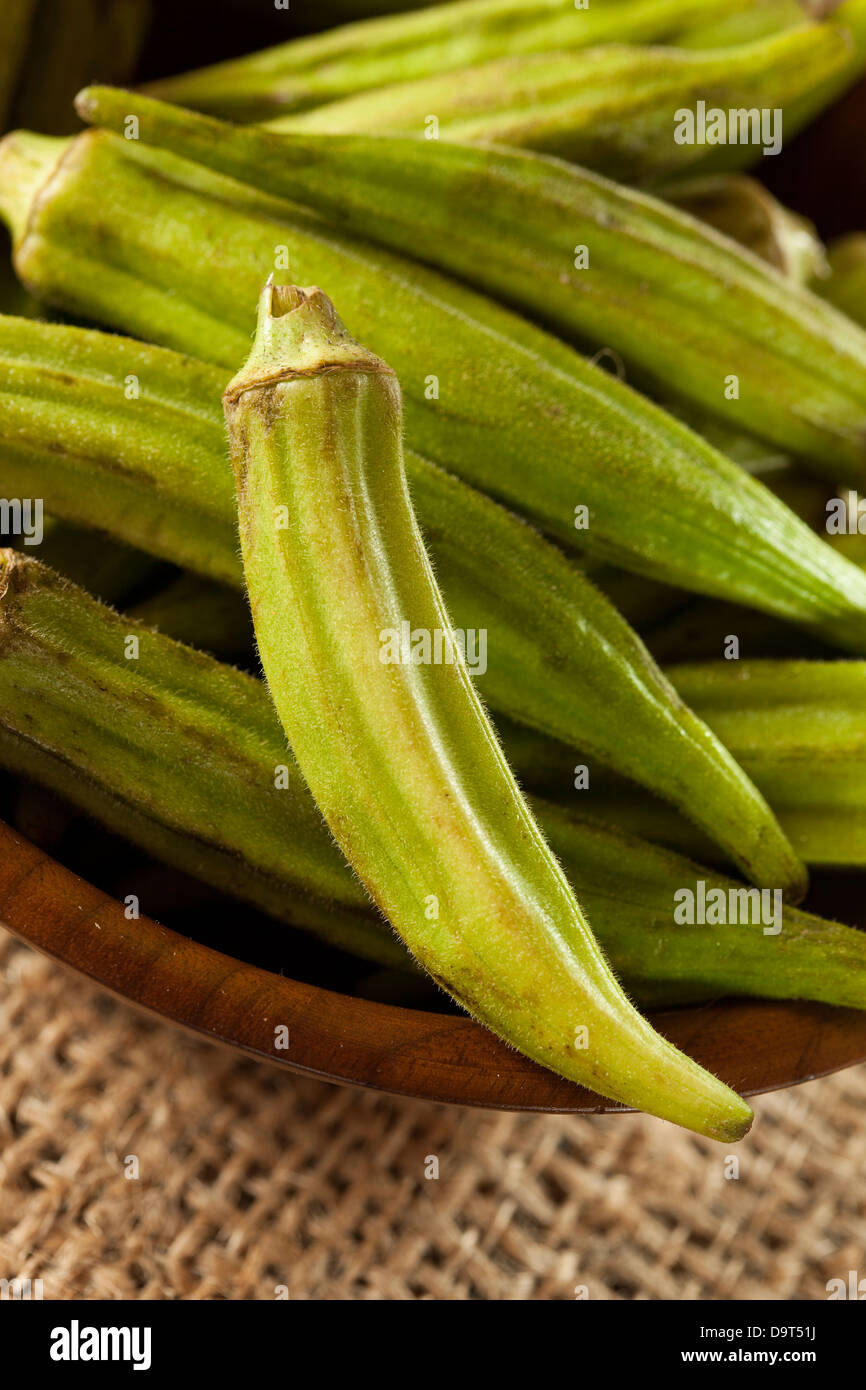 Organic Green Okra Vegetable against a Background Stock Photo Alamy