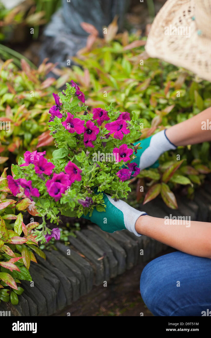 A woman is working in the garden Stock Photo