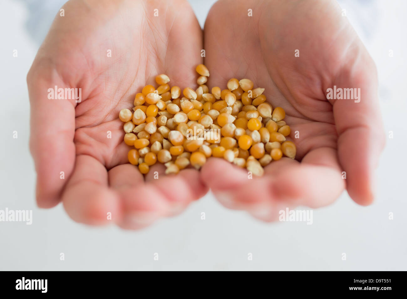 Woman holding corn grain Stock Photo