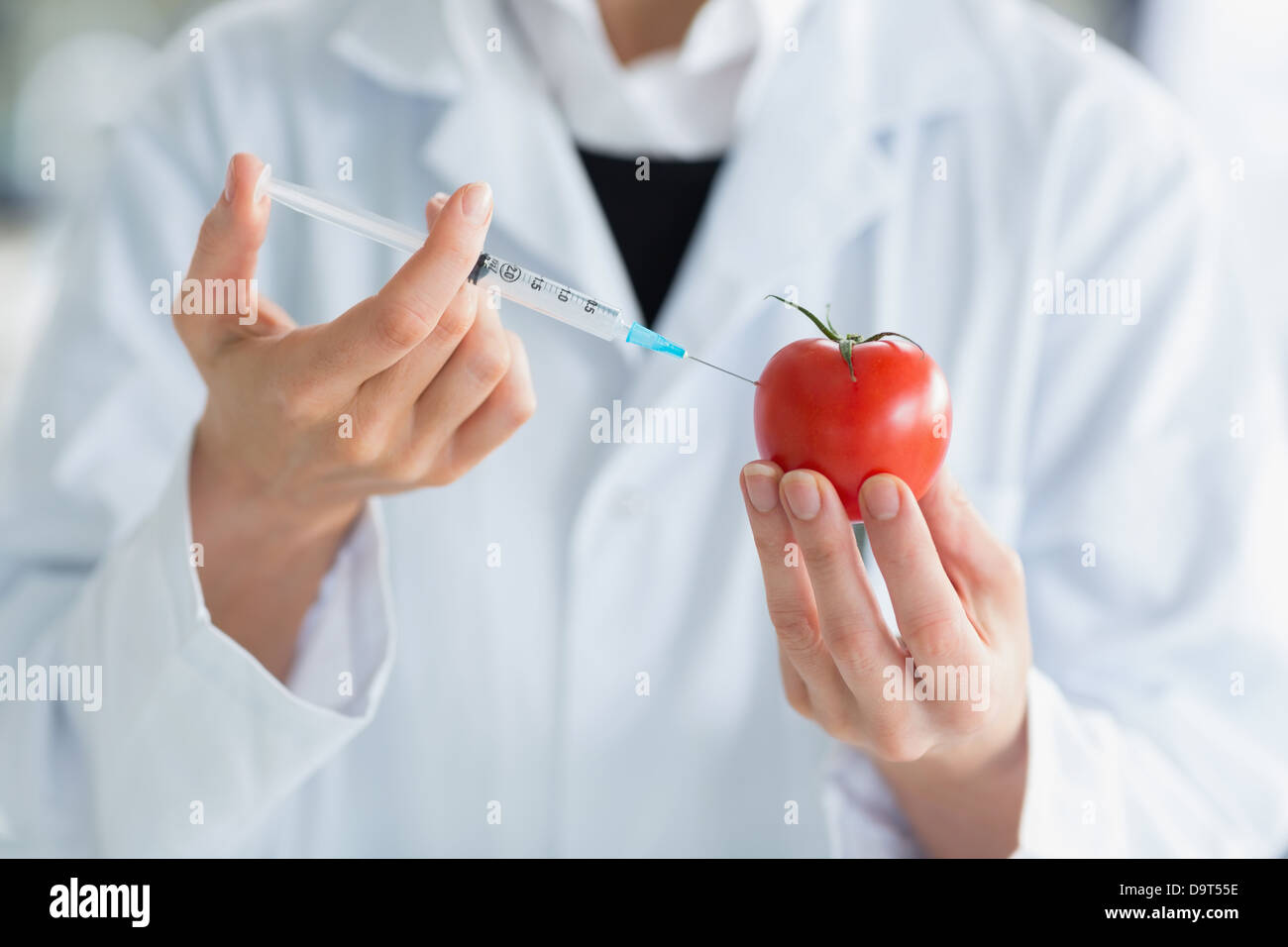 Woman injecting liquid in tomato Stock Photo