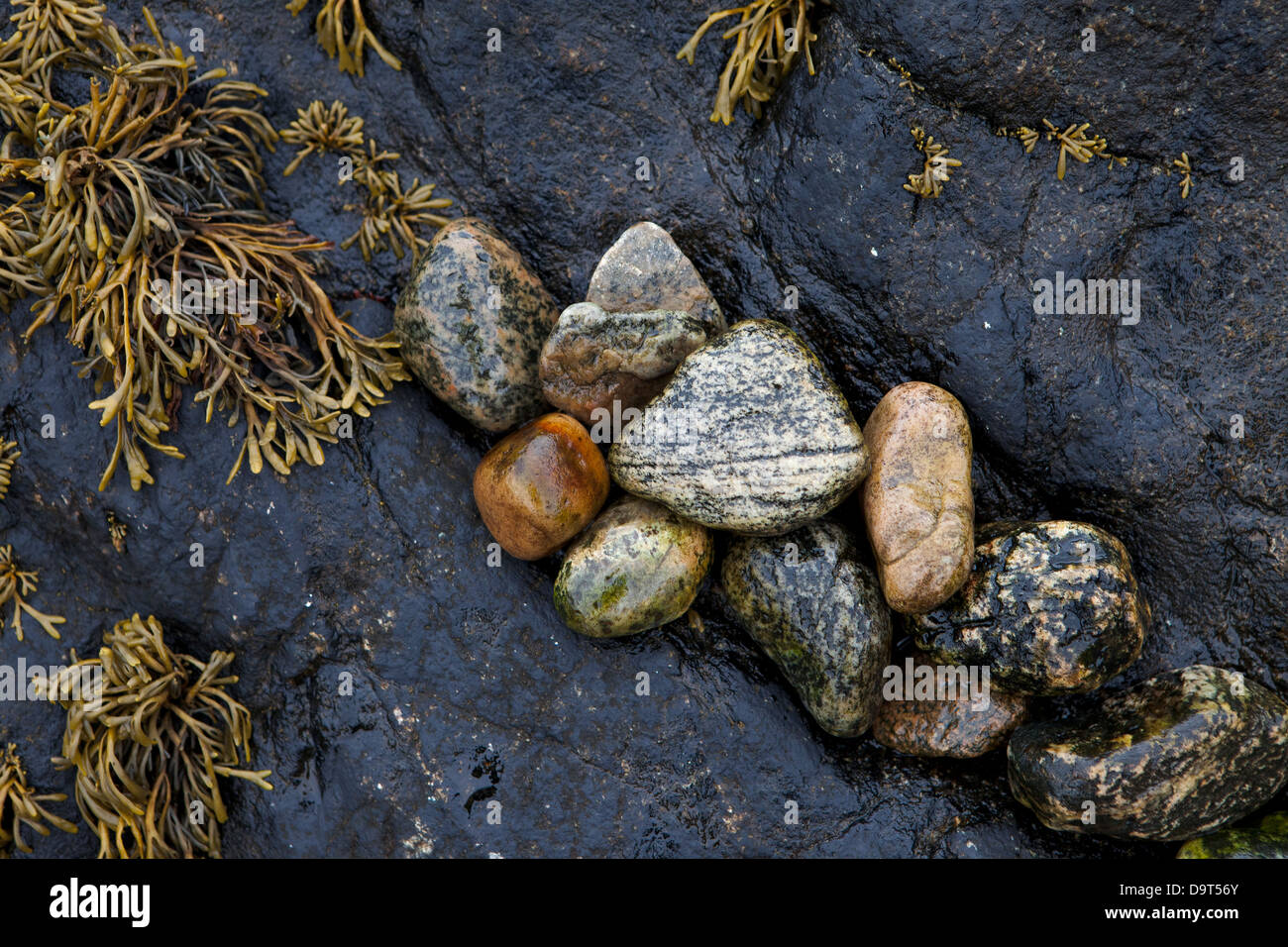 details on the beach at Lochinver, Sutherland, Scotland, UK Stock Photo