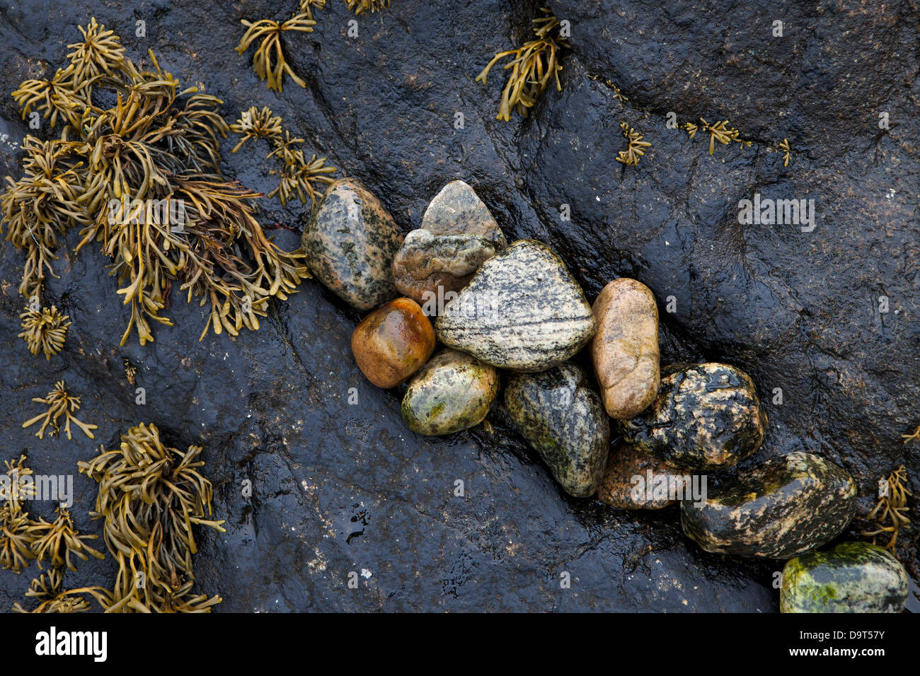 details on the beach at Lochinver, Sutherland, Scotland, UK Stock Photo