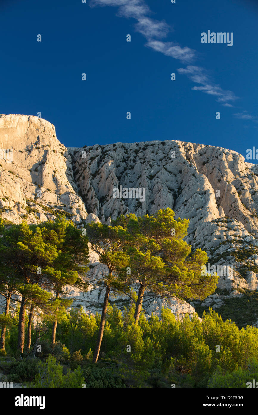 Montagne Ste Victoire at dawn, Var, Provence, France Stock Photo