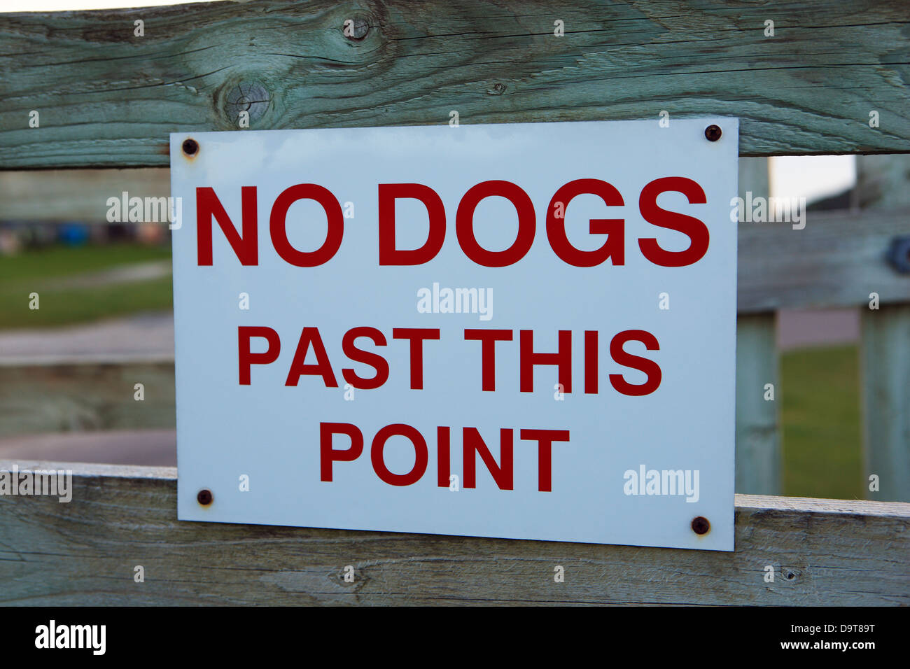 No dogs past this point sign Stock Photo