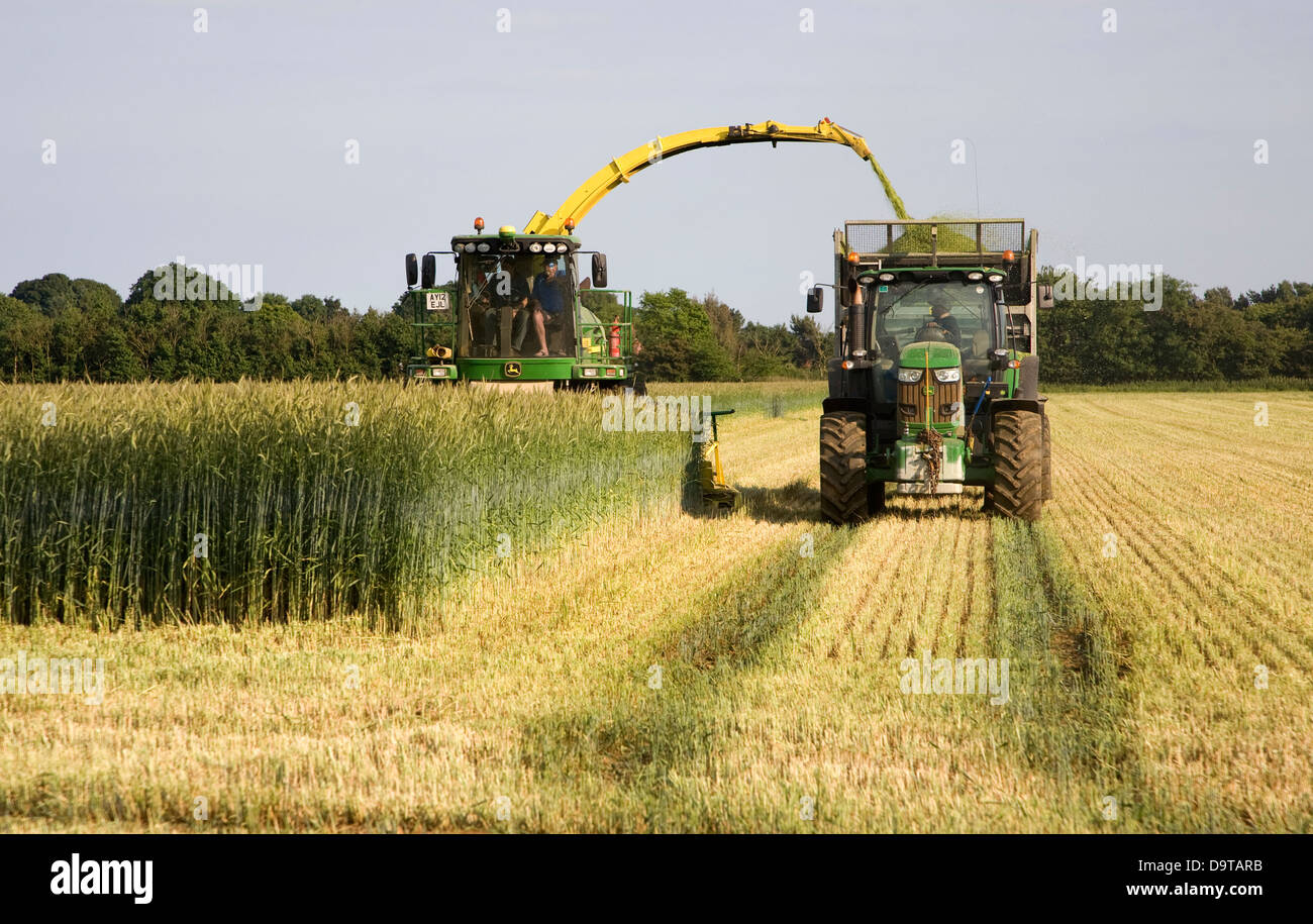 Mechanized harvesting hires stock photography and images Alamy