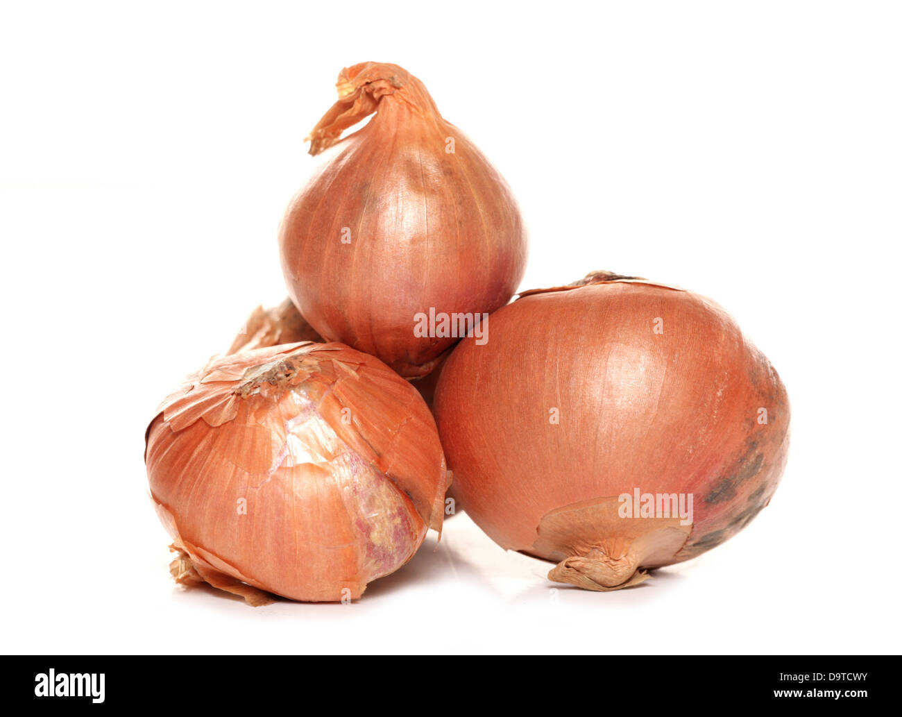 Small Red Onions Shallots Stock Photo 1796207