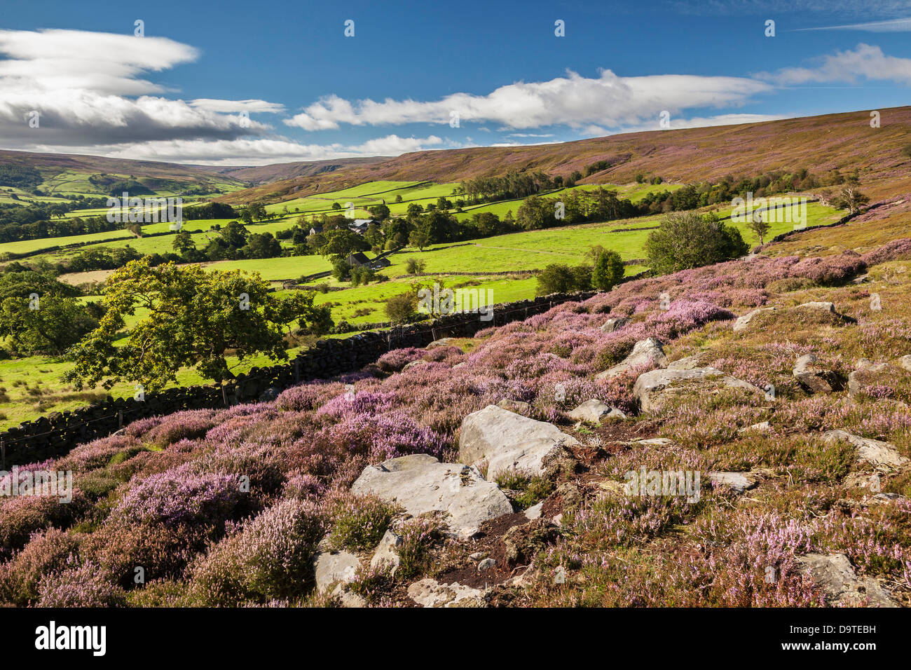 Westerdale, North York Moors National Park, North Yorkshire Stock Photo