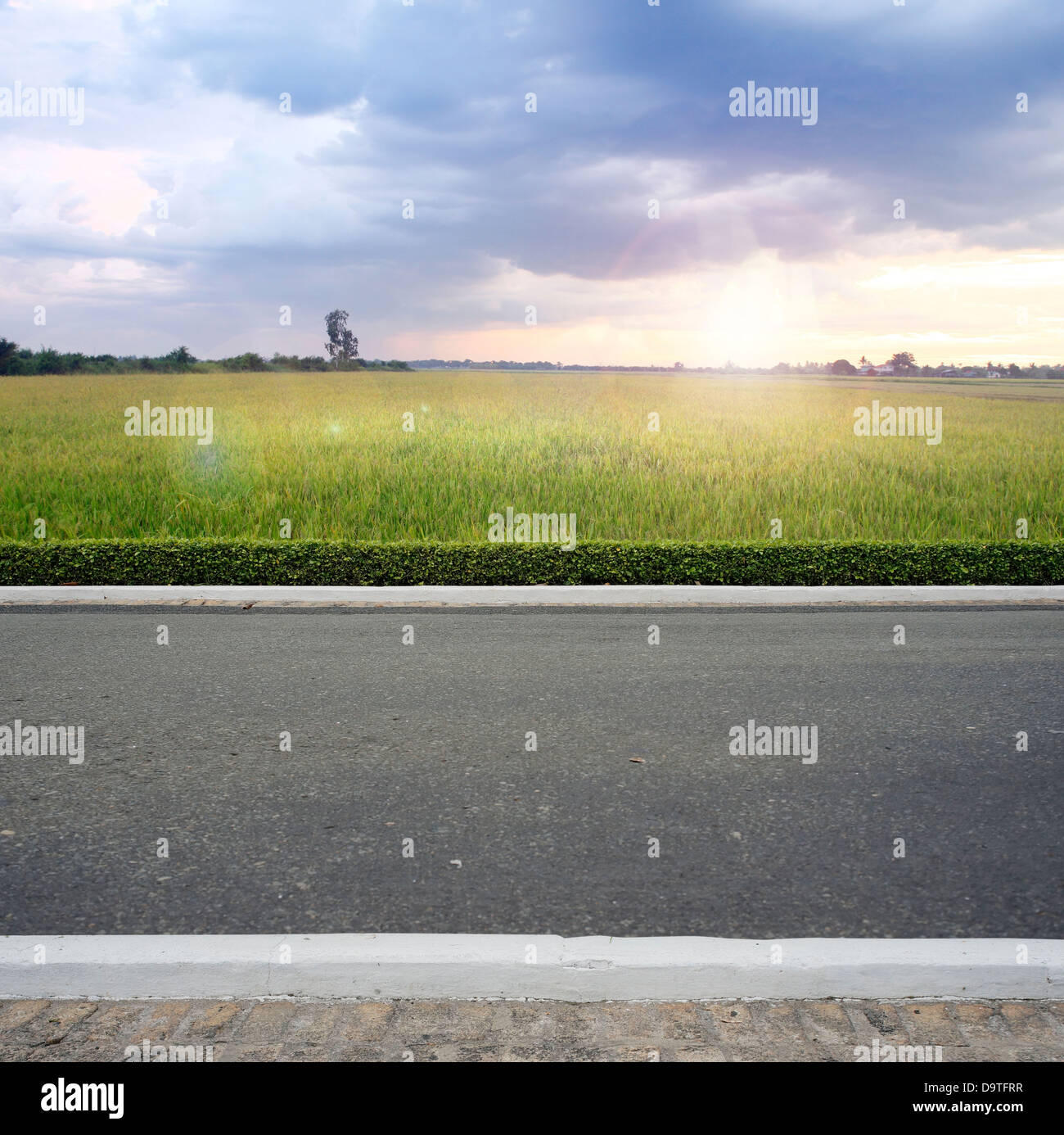 Road side county view background Stock Photo - Alamy