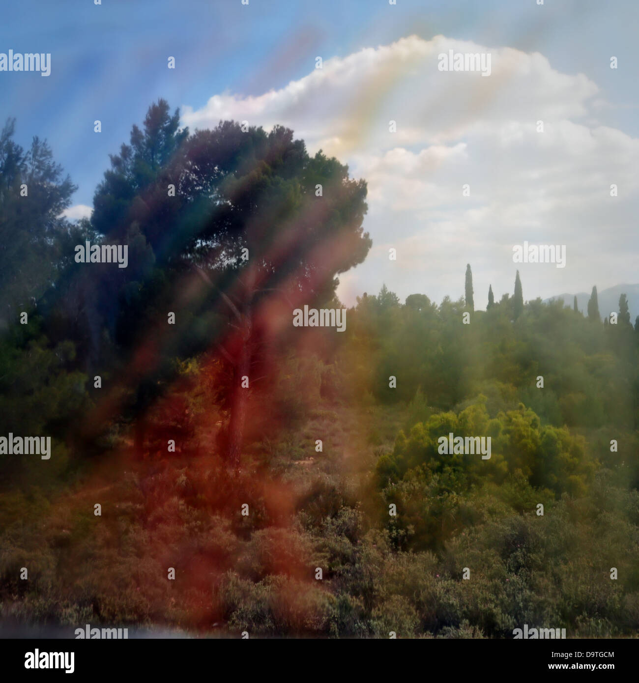 Nature scene through colorful painted glass. Forest trees abstract landscape. Stock Photo