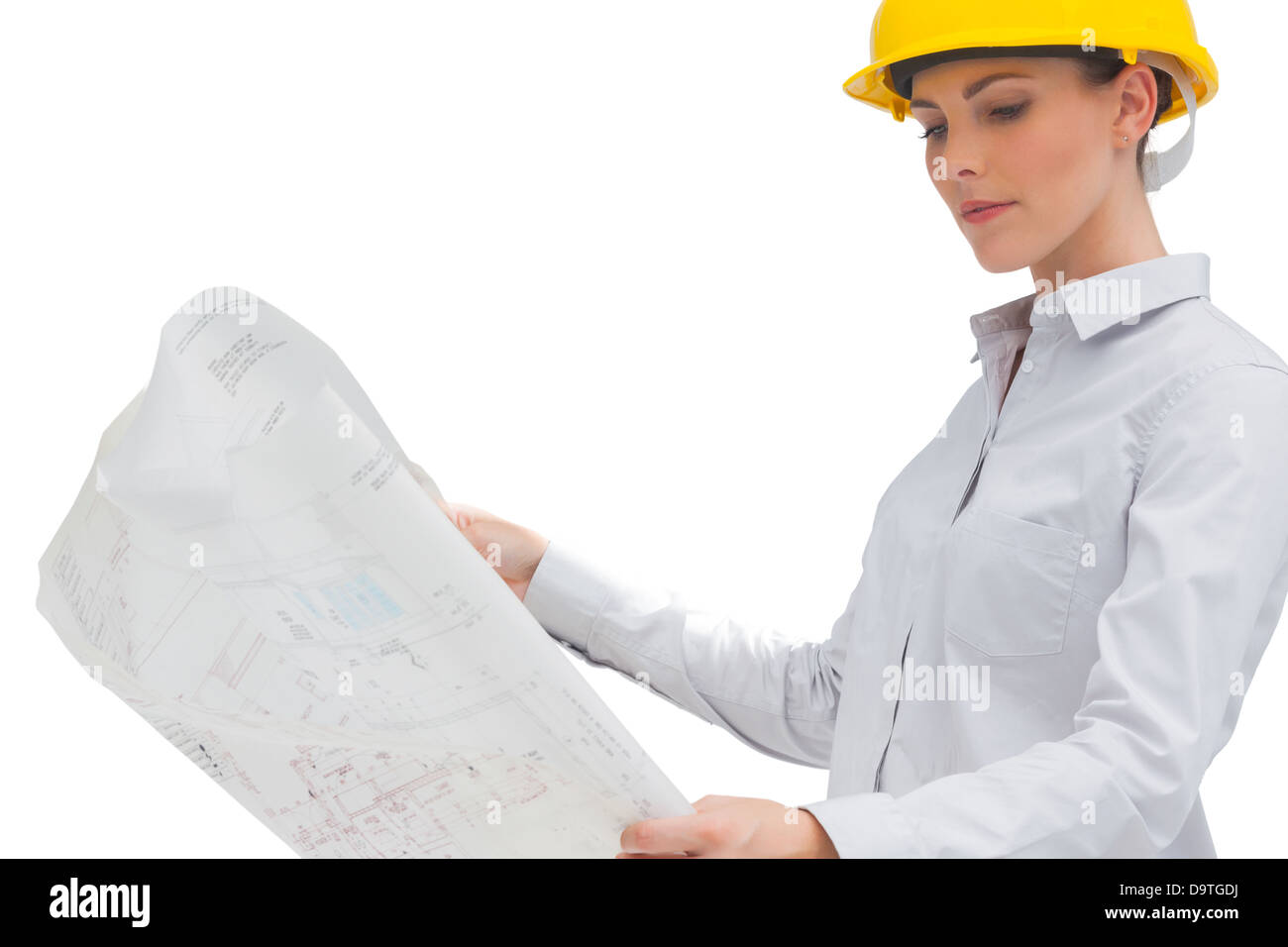 Architect looking at blueprint Stock Photo - Alamy