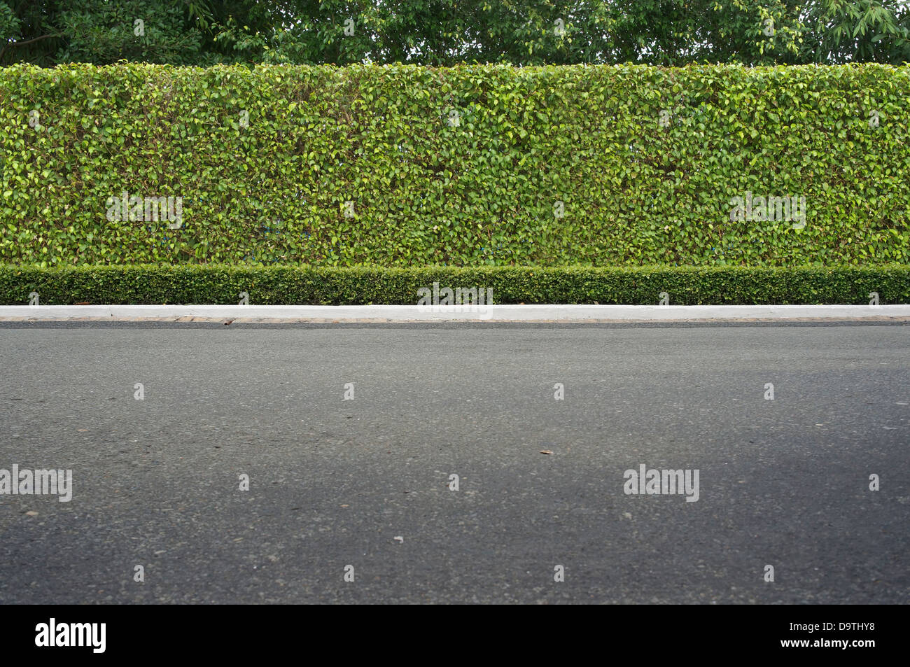 Roadside view green grass background hi-res stock photography and images -  Alamy