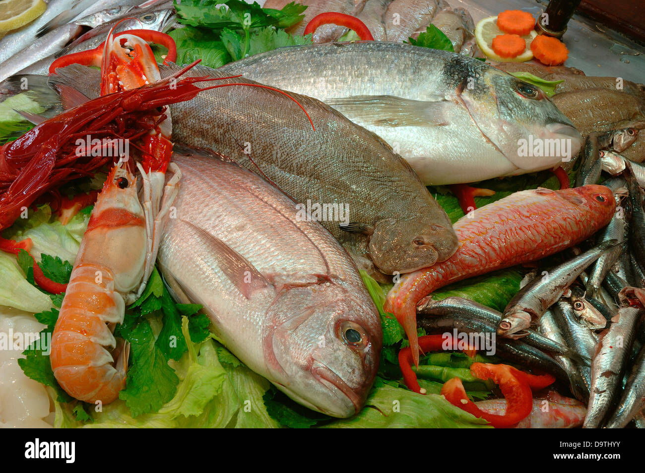 Fresh fish and seafood, Cadiz, Region of Andalusia, Spain, Europe Stock Photo