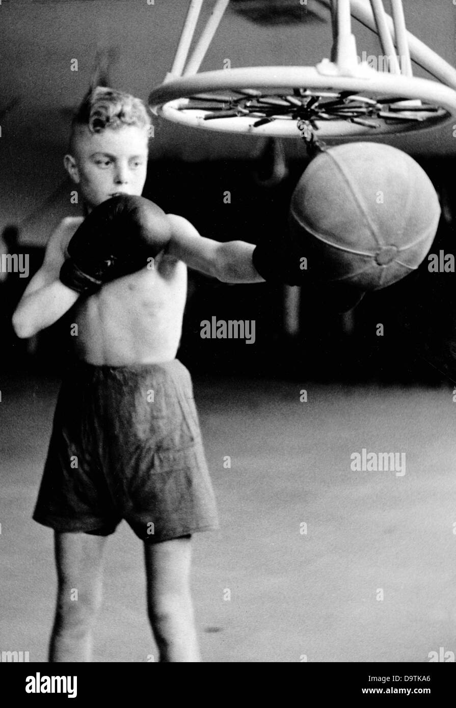 A Hitler boy of the German Youth practices boxing at a speedball, in November 1938. Fotoarchiv für Zeitgeschichte Stock Photo