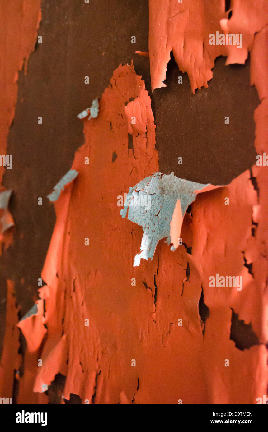 Dried Peeling Paint Detail Stock Photo