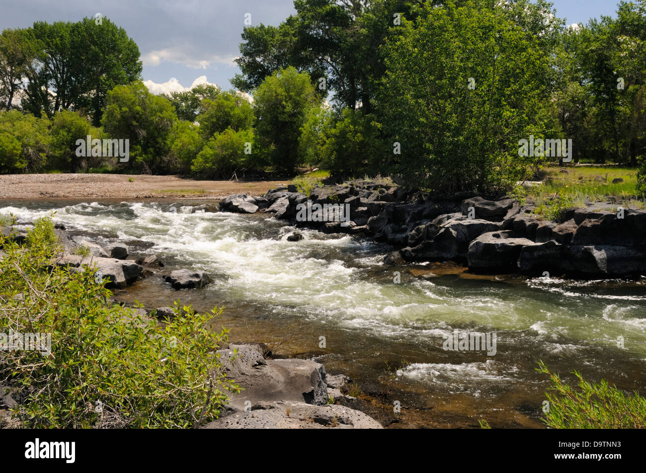 River Rushes Uk River rushes past rocky riverbank Stock Photo - Alamy