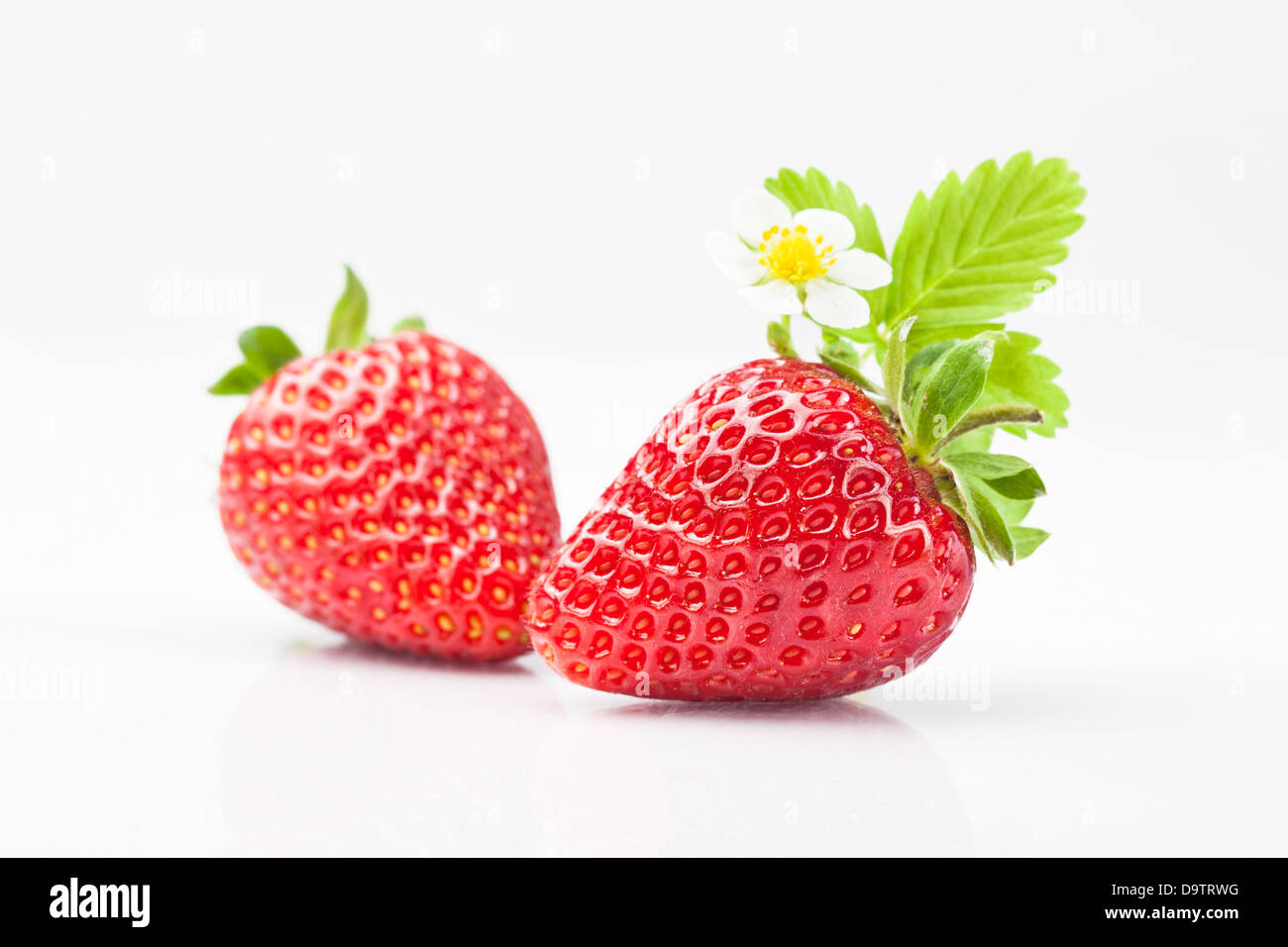 Two fresh strawberries on white background Stock Photo - Alamy