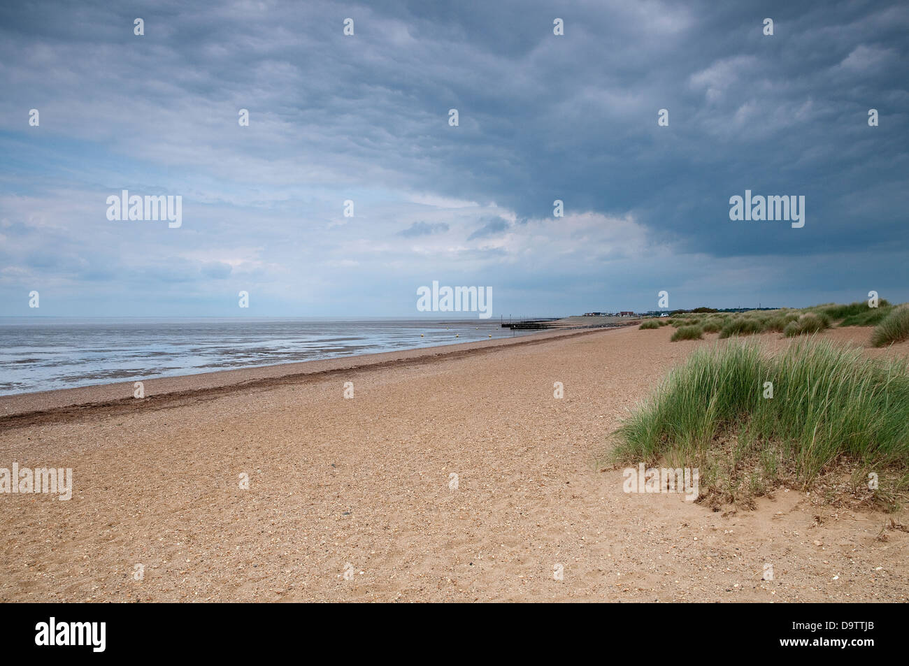 heacham beach, west norfolk, england Stock Photo Alamy