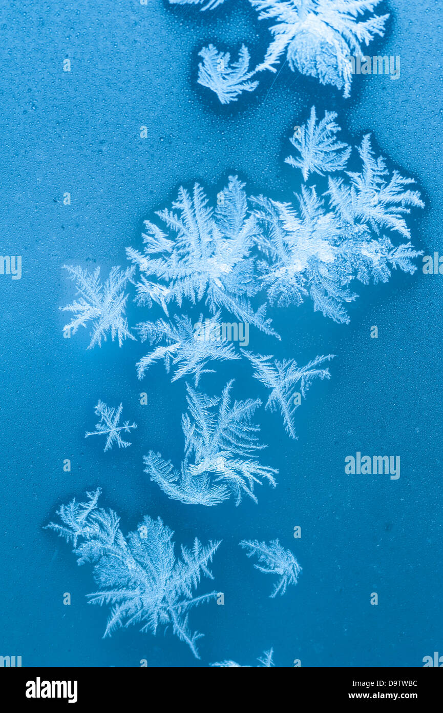 Abstract Textures & Patterns of Winter Frost on Glass Window Stock ...
