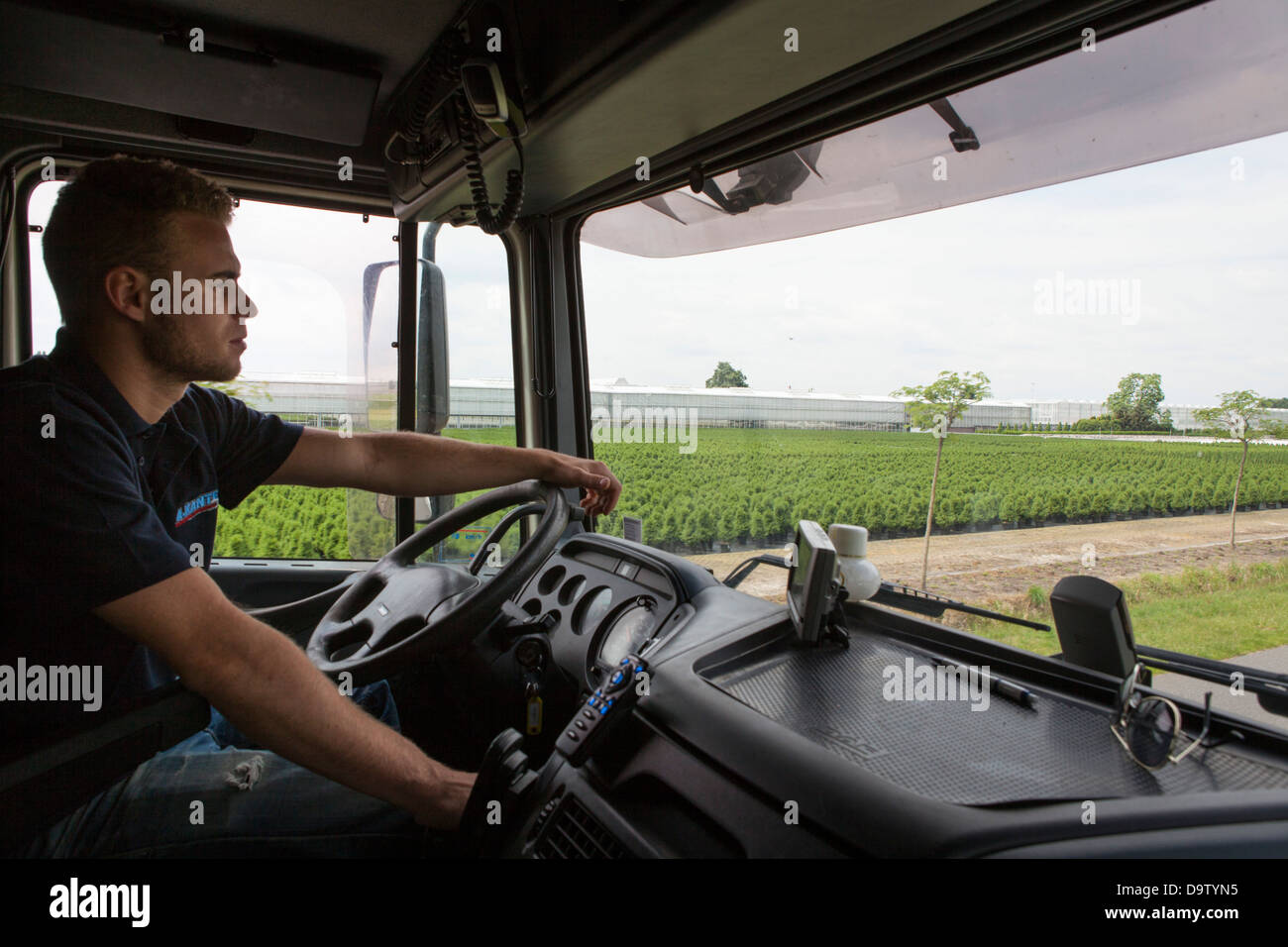 Driver of a DAF XF truck driving through a horticulture area in the Netherlands Stock Photo