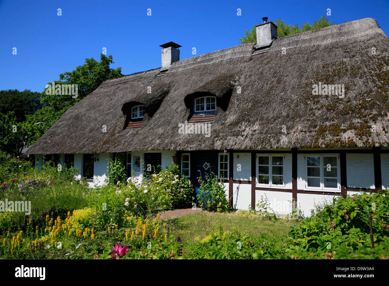 Old thatched house in Strande, Kiel Bay, SchleswigHolstein, Germany