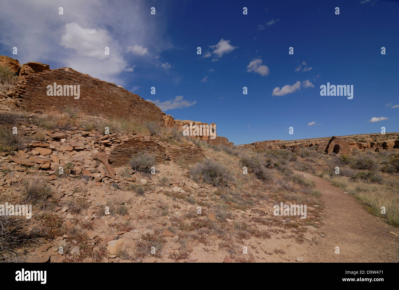 Chaco plant hi res stock photography and images Alamy