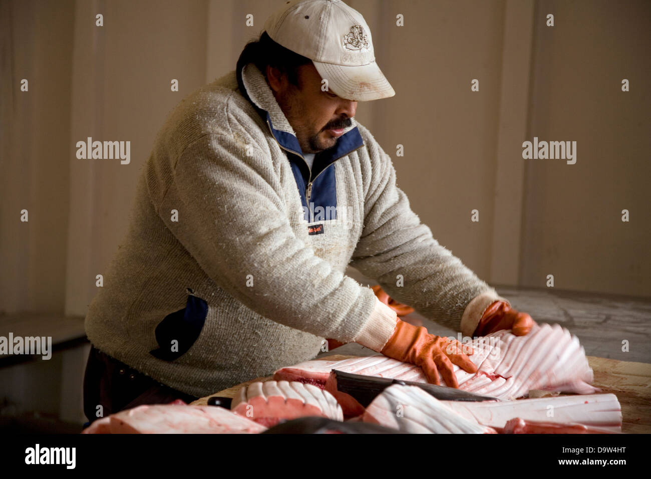 A traditional staple of the Inuit diet, whale meat (Minke is this instance) is sold at this stand in Qeqertarsuaq, Greenland. Stock Photo