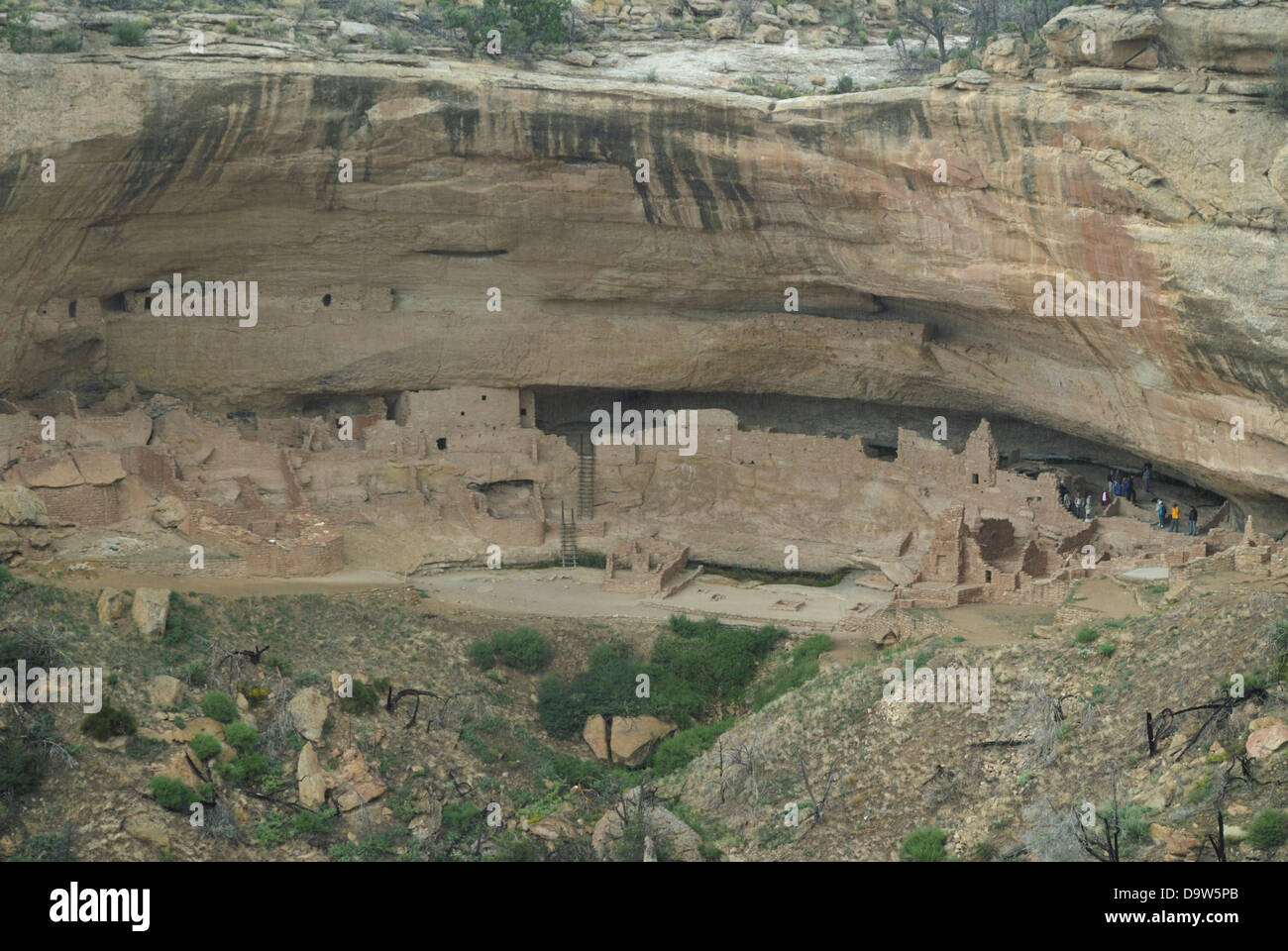The Cliff Palace of the Anasazi Ruins, Mesa Verde National Park ...