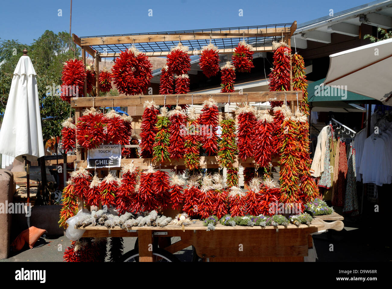 Red chili peppers hanging in a shop, Santa Fe, New Mexico, USA Stock