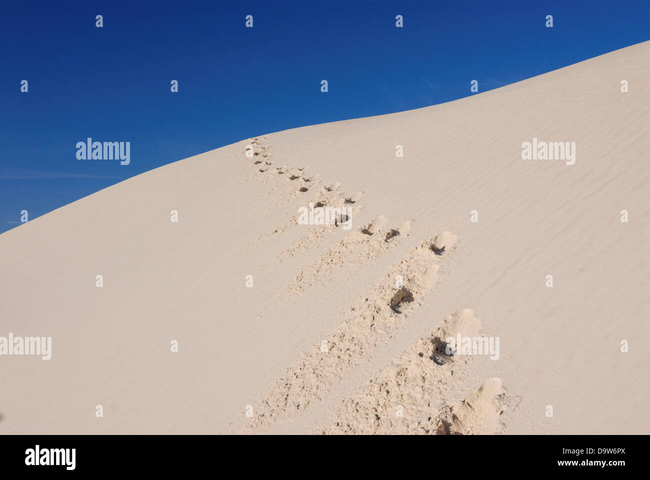 Footprints on rippled gypsum sand dunes in the White Sands National