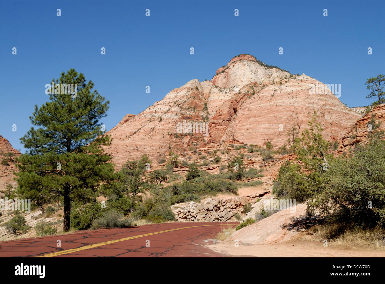 Road with mountain in the Zion National Park, Utah, USA Stock Photo Alamy