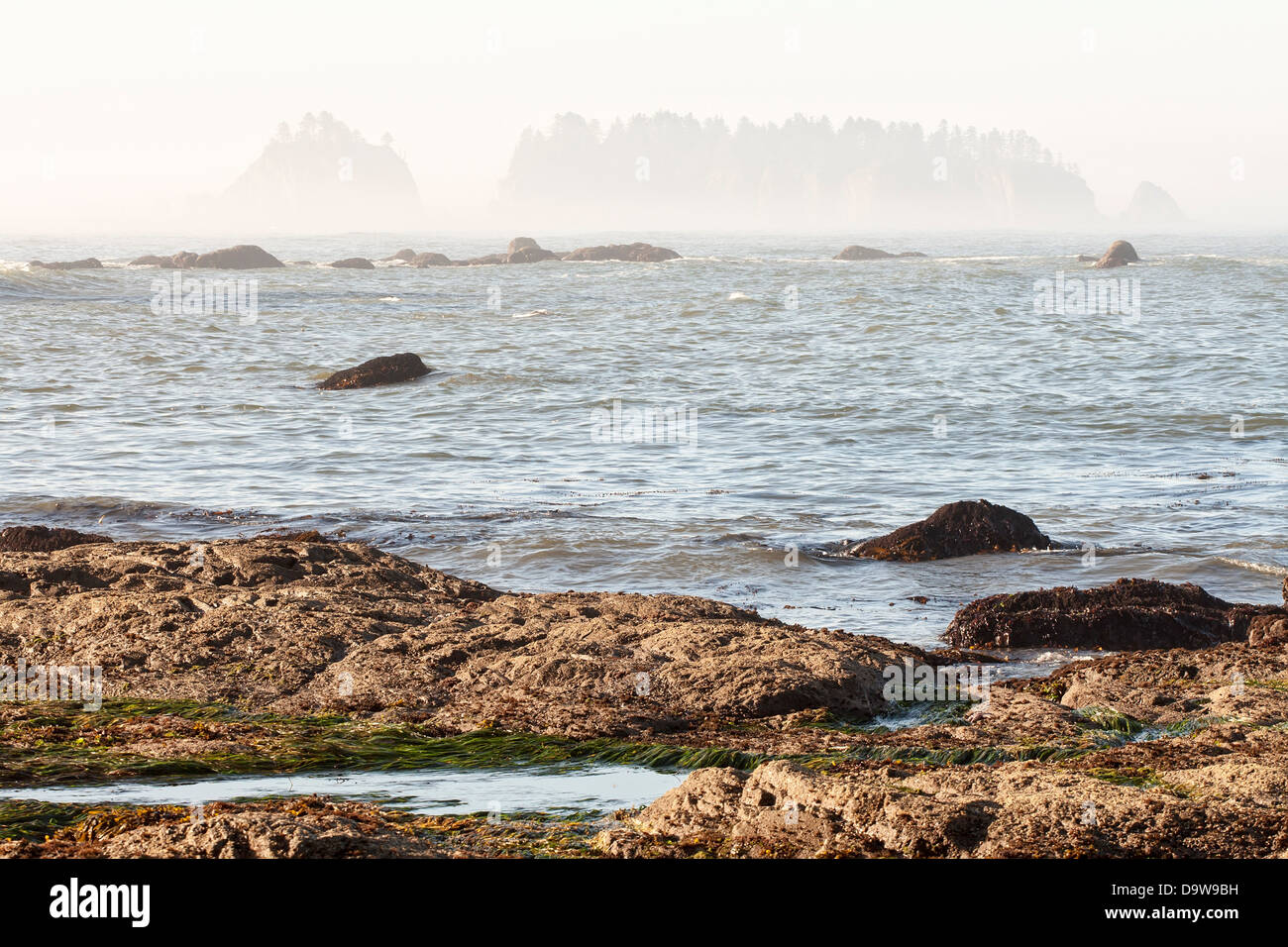 Riatloo Rocks USA, Washington, Olympic National Park, Rialto Beach, Rocks and morning ...