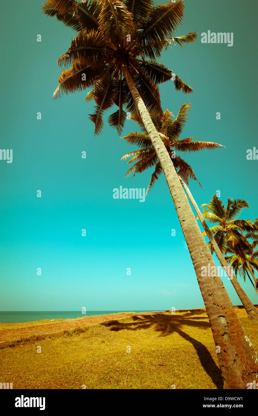 Beautiful sunny day at tropical beach with palm trees. Ocean landscape ...