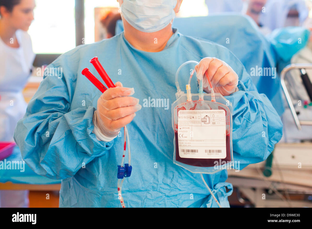 Umbilical cord blood stem cell harvesting Bag placental blood Obstetrics and gynaecology department Limoges hospital France. Stock Photo