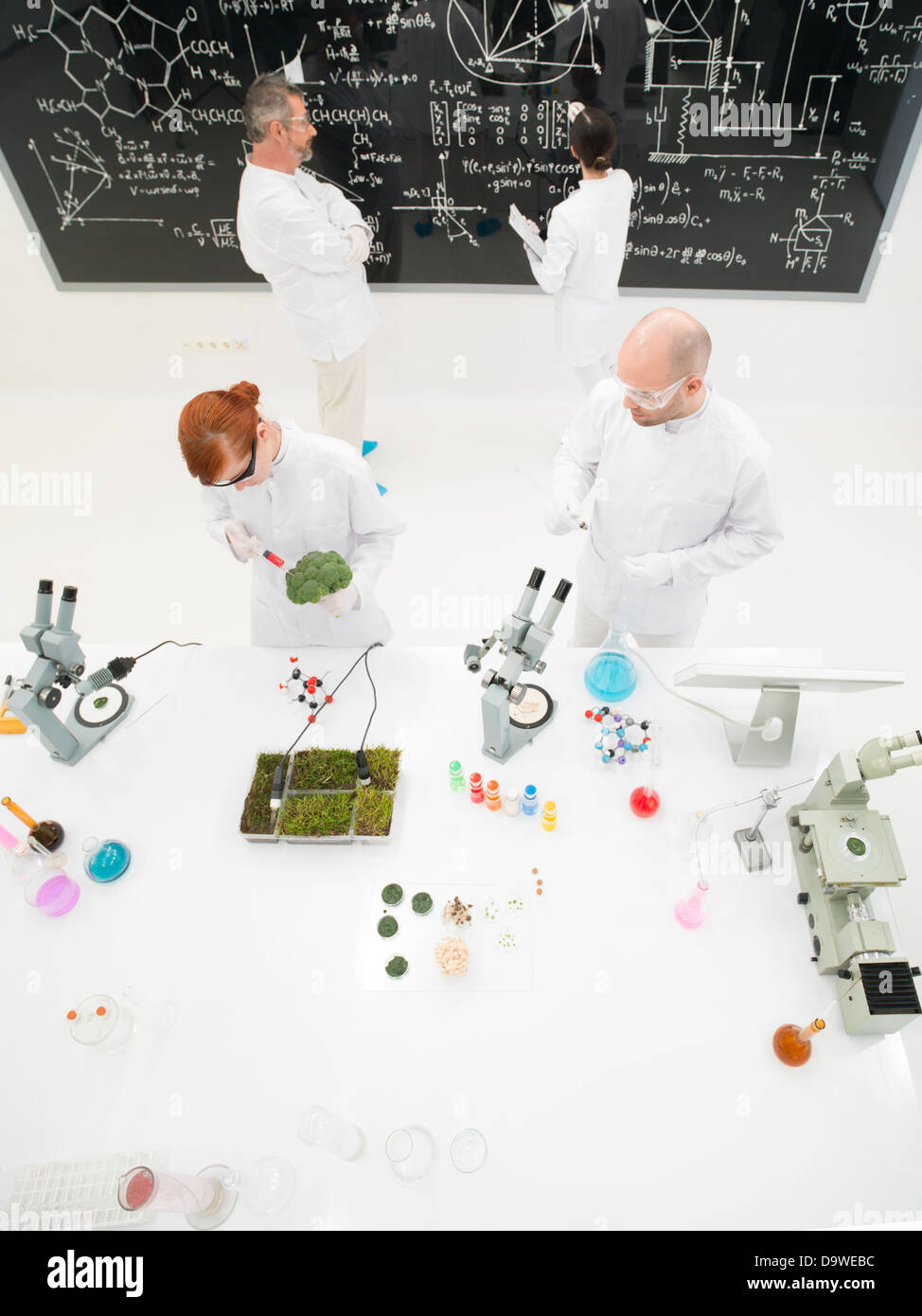 Aerial view of a group of diverse scientists or laboratory technicians working in a laboratory