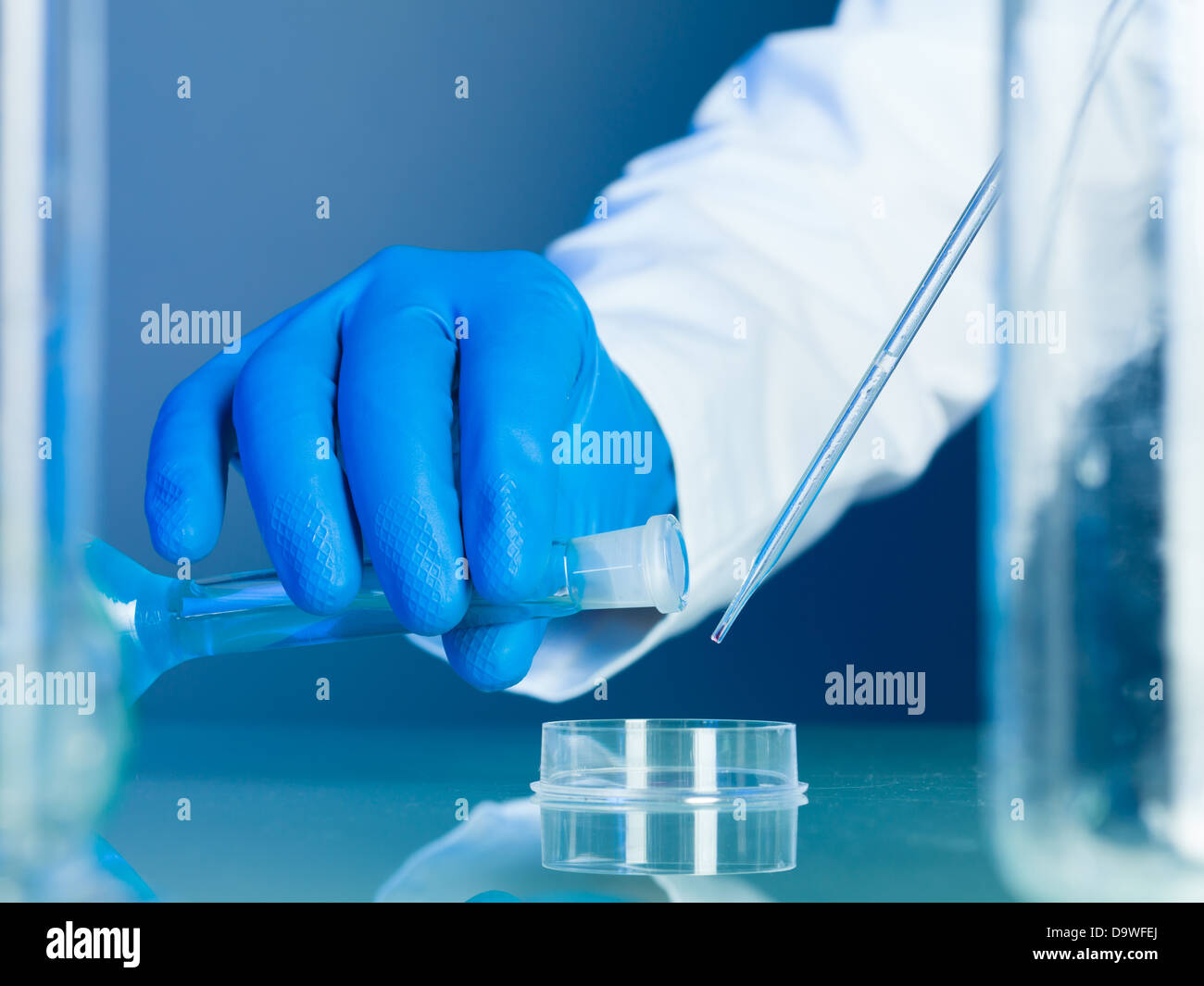 person wearing a white lab coat and blue rubber gloves pouring a blue substance in a petri dish and mixing it with drops of transparent liquid from a pipette on a reflective surface Stock Photo