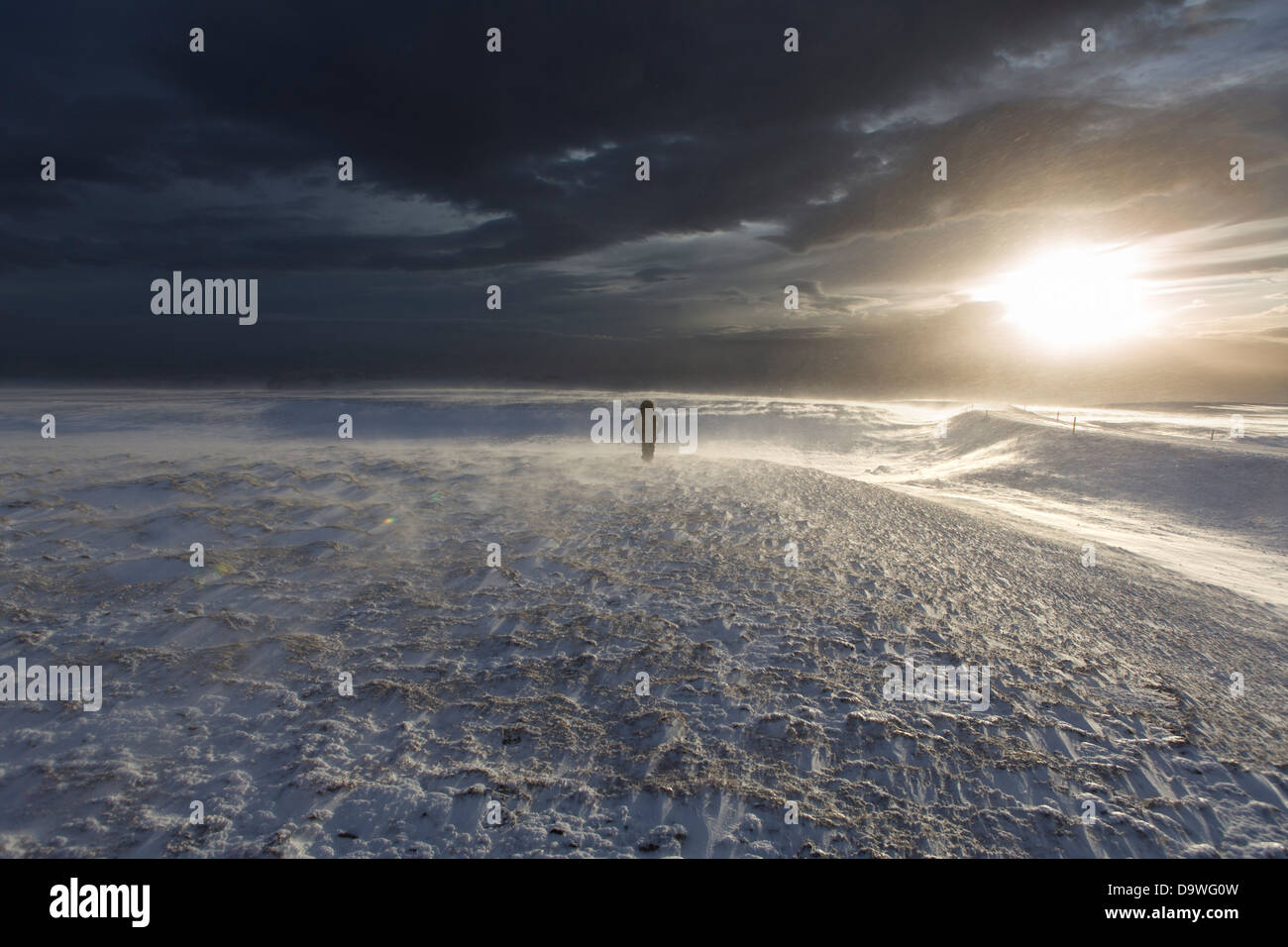 Man standing in a snow storm in Mosfellsheidi, Iceland - Maður í snjóstormi á Mosfellsheiði Stock Photo