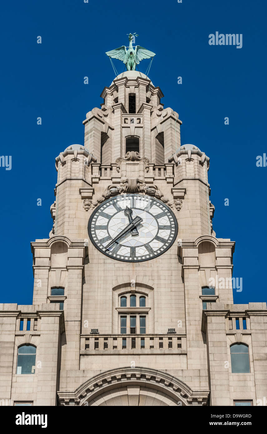 A close view of the clock tower of the liver building, Liverpool Stock Photo Alamy