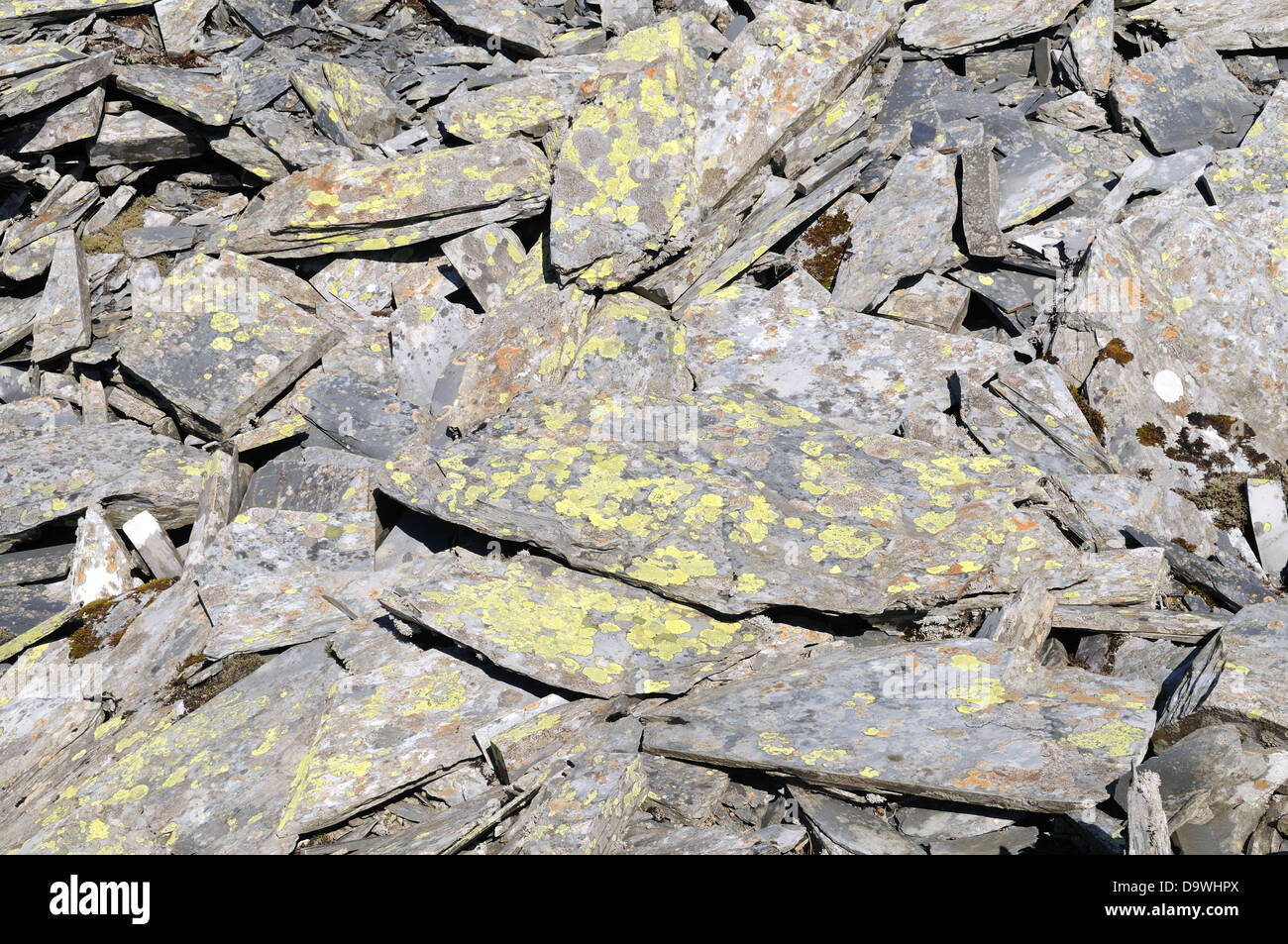 Slate spoil heaps covered with lichen at the disused Rhosydd Slate Mine in a mountain pass between Croesor and Cwmorthin Valleys Stock Photo