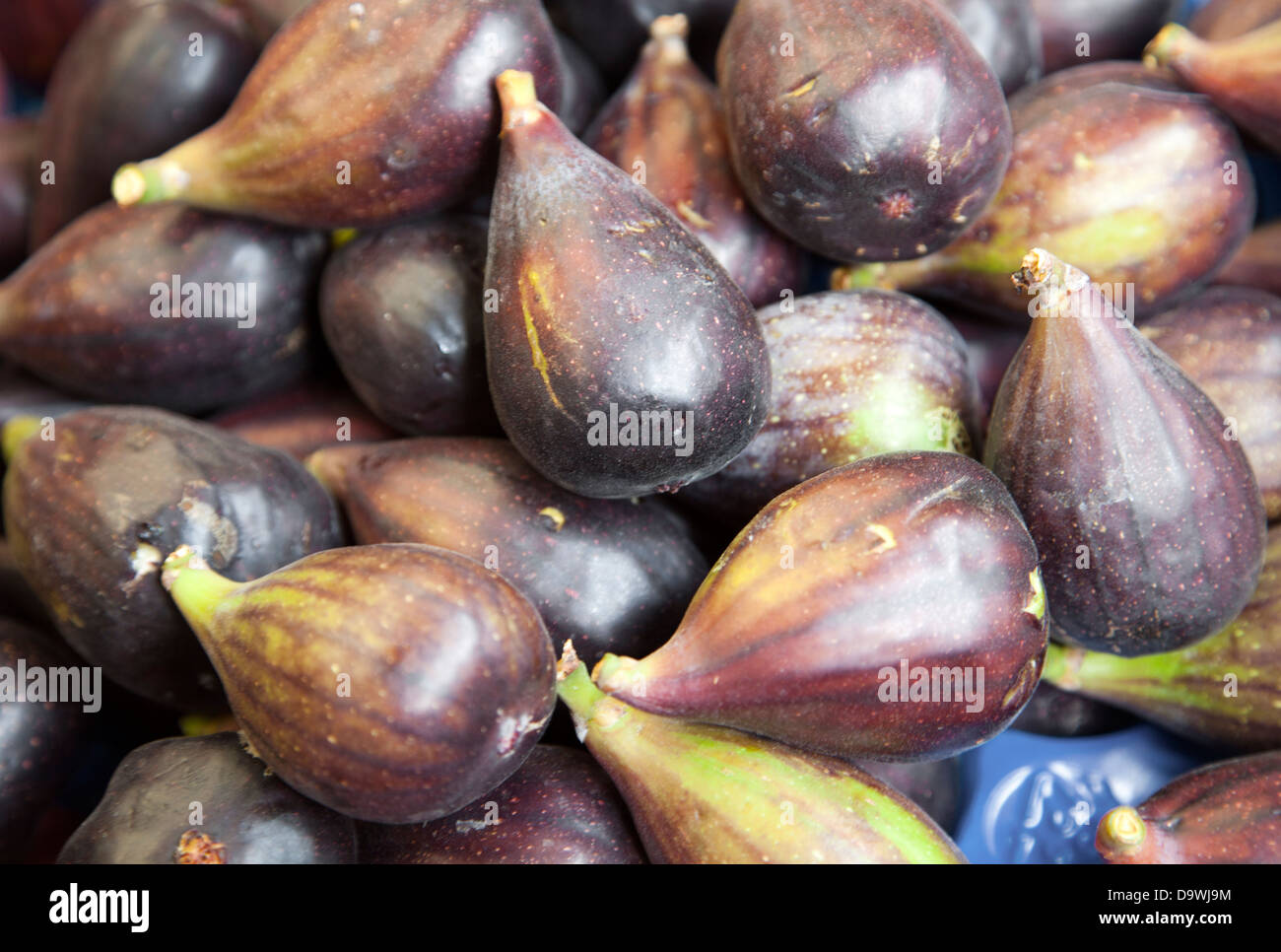Figs for sale at Borough Market London UK Stock Photo Alamy
