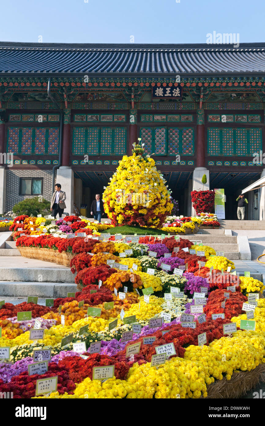 Bongeunsa Temple grounds in the Gangnam District of Seoul, South Korea Stock Photo
