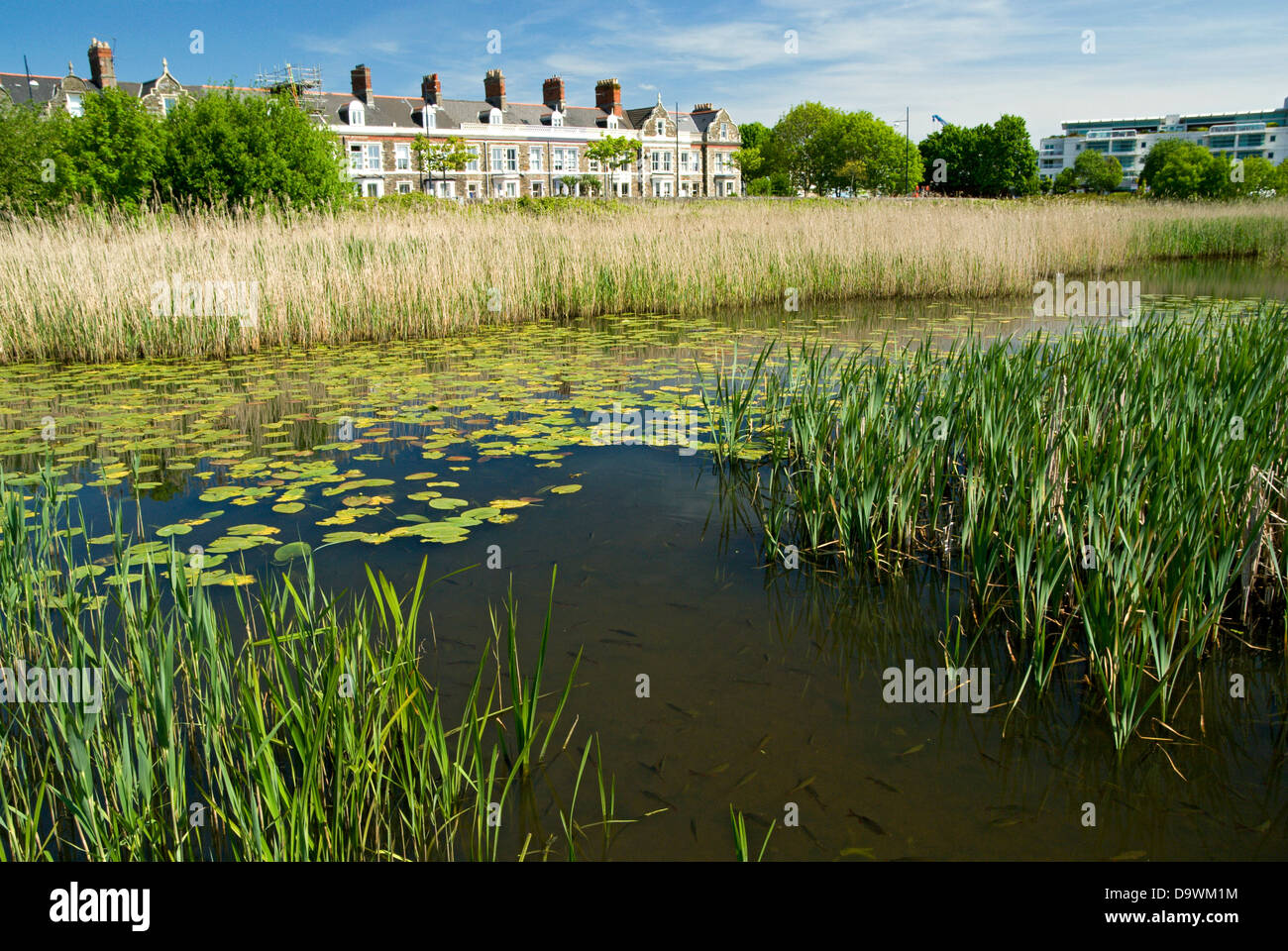 Cardiff Bay Wetlands Reserve and Windsor Esplanade, Cardiff Bay, South
