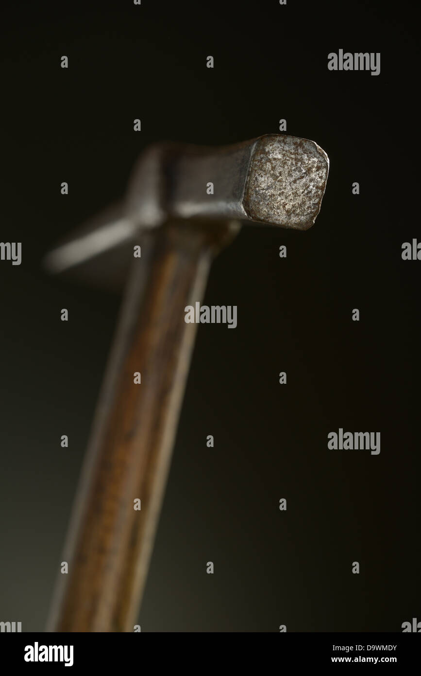 Hammer Head Stock Photos & Hammer Head Stock Images Alamy