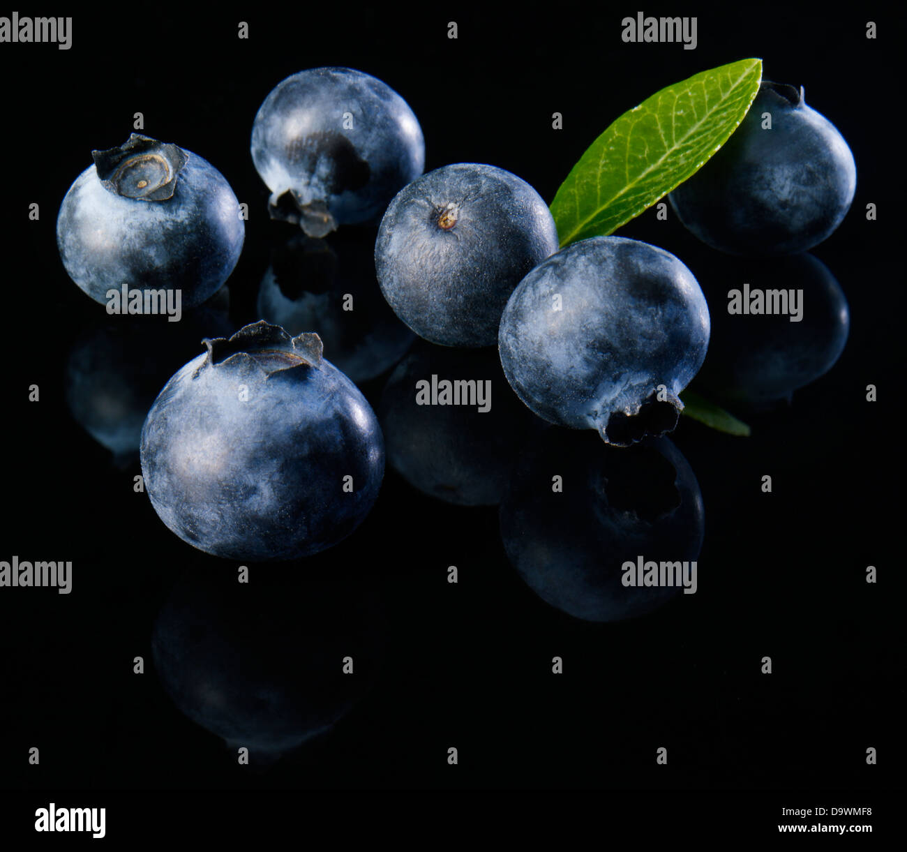 fresh blueberries Stock Photo