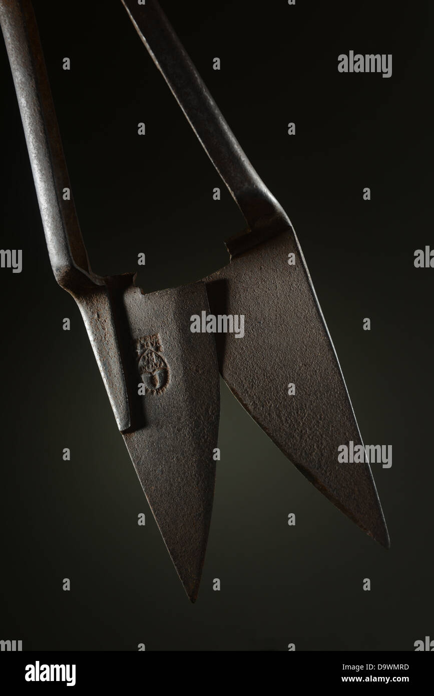 Blades of old manual sheep shears Stock Photo Alamy